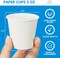 3 oz 300 Pack Paper Cups for Bathroom, Summer Party Tableware, Disposable Mouthwash Cups, Small Paper Cups for Parties, Picnics, Travel